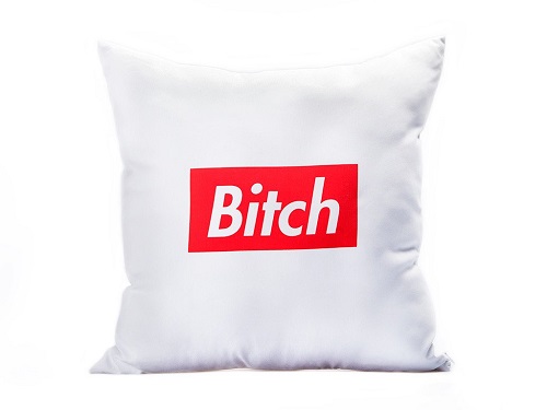 bitch-box-logo-pillow