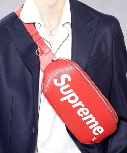 supreme louis vuitton 17