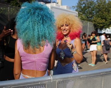 afropunk brooklyn august 2017 1