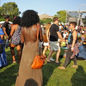 afropunk brooklyn august 2017 20