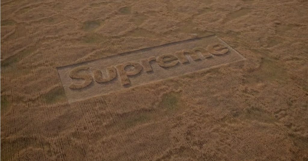 supreme field