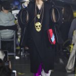 junjie yang vfiles 1