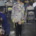 louis pileggi vfiles 4