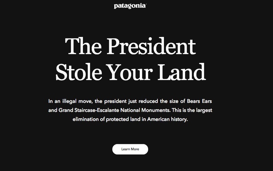 patagonia president stole your land