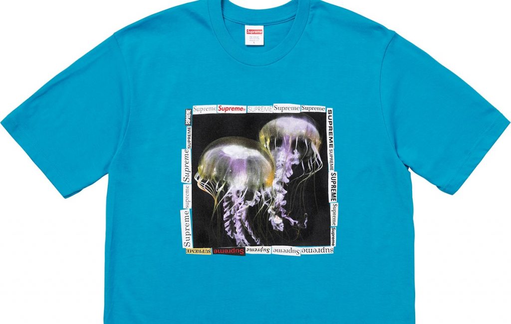 jellyfish a