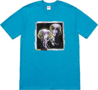 jellyfish t shirt