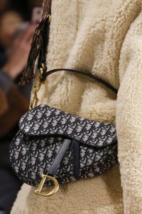 dior saddle bag