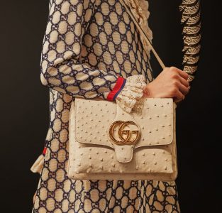 gucci resort 2019 bags 5