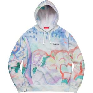 supreme pastel hoodie 1