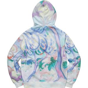 supreme pastel hoodie 2