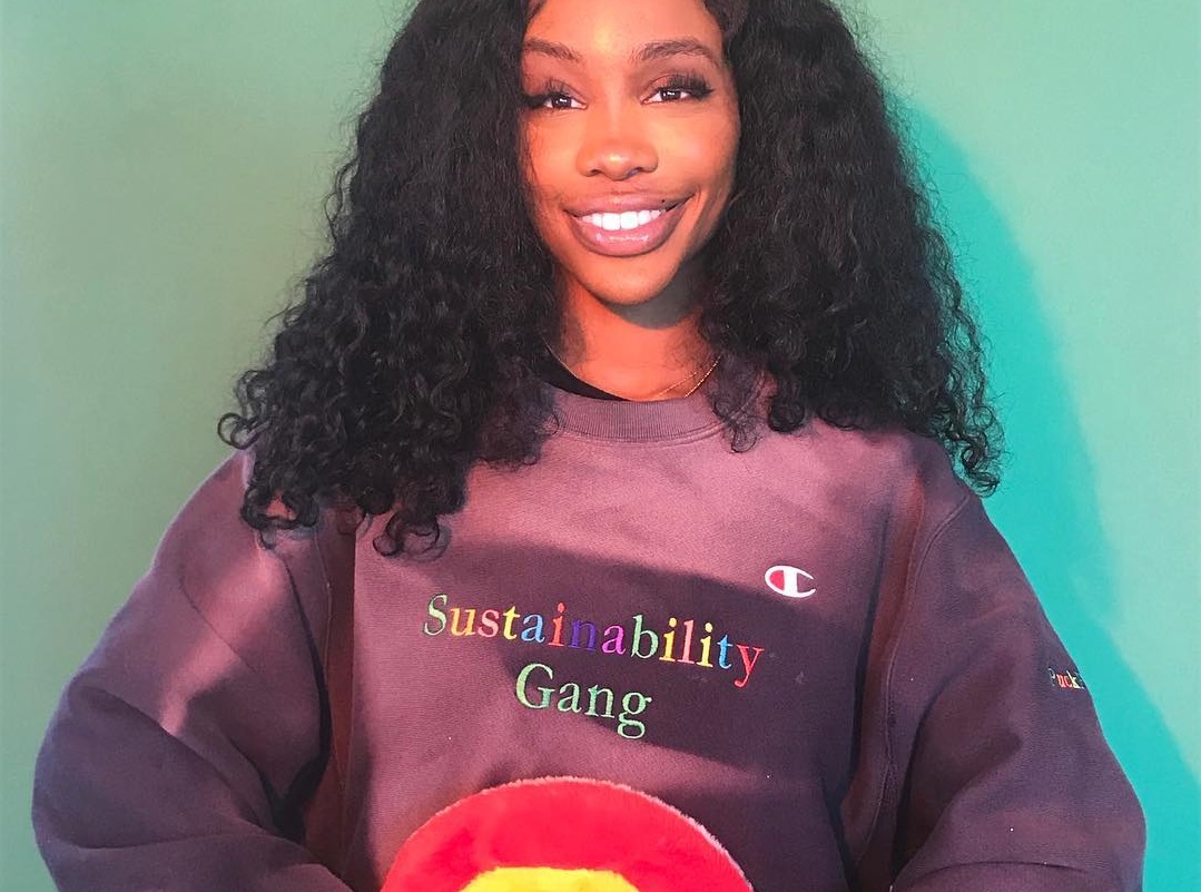 Sza ctrl champion on sale hoodie