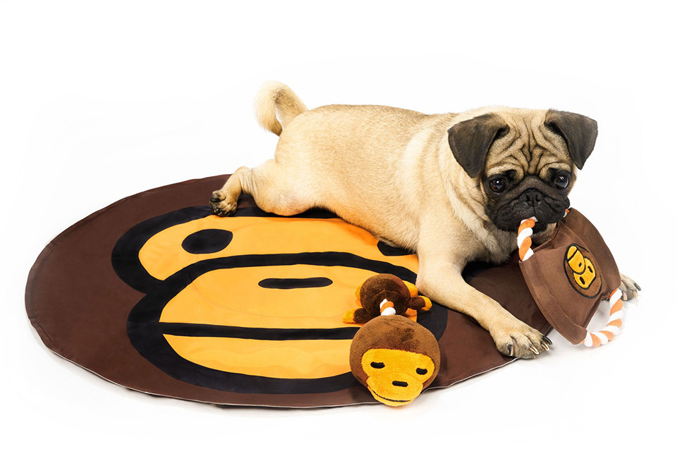 baby-milo-bape-pet-collection-new-dog-items