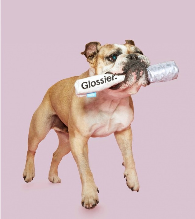 bark glossier plush toys 1