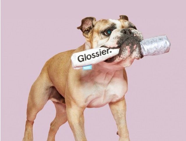 bark-glossier-plush-toys