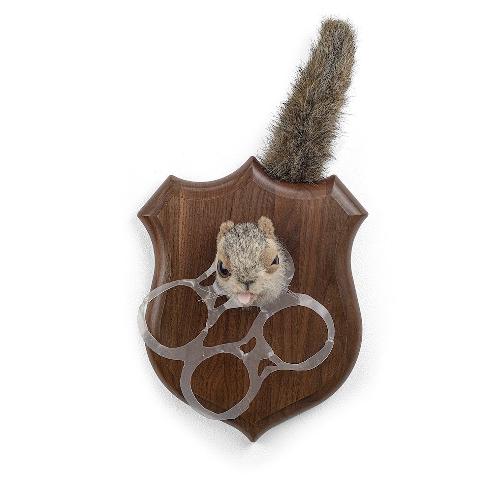 banksy-squirrel-plaque