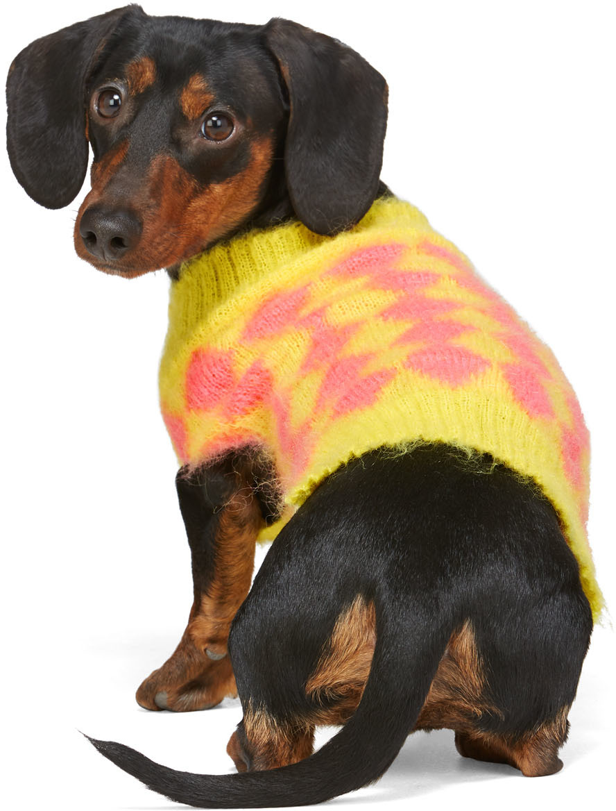 ashley-williams-ssense-exclusive-yellow-and-pink-dog-sweater