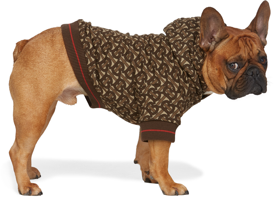 burberry-brown-monogram-dog-hoodie