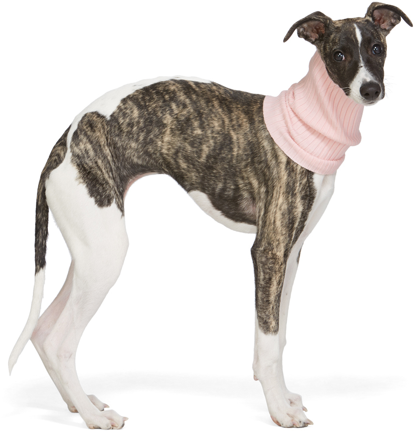giu-giu-pink-nonna-turtleneck-dog-collar (1)