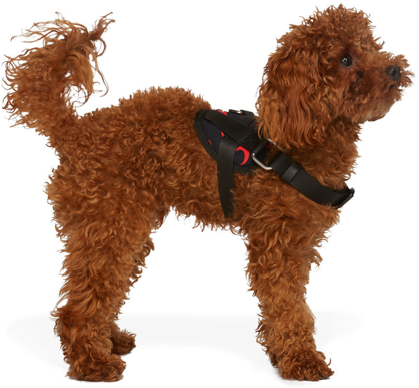 marine-serre-ssense-exclusive-black-small-dog-harness