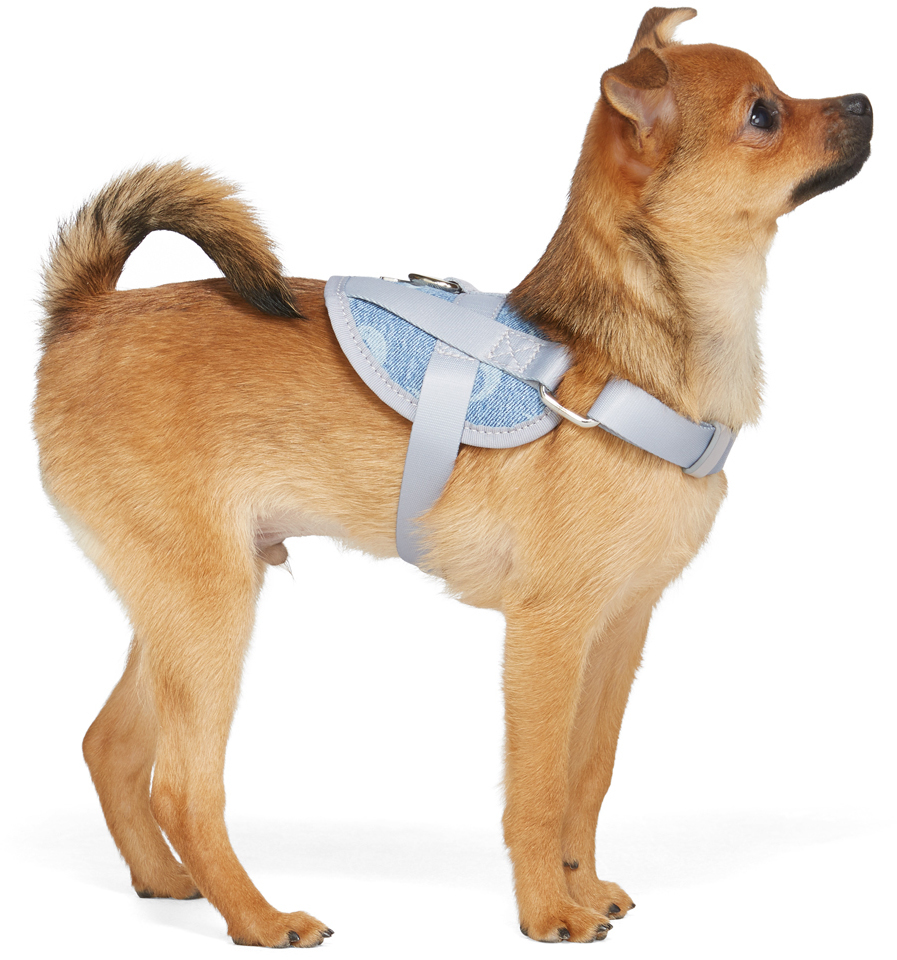 marine-serre-ssense-exclusive-blue-small-upcycled-denim-dog-harness