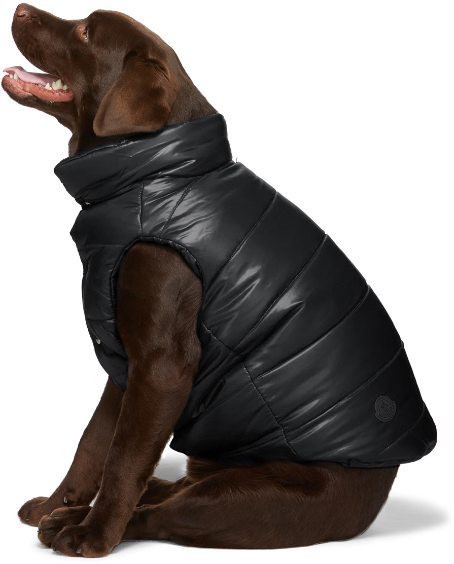 moncler-genius-black-poldo-dog-couture-edition-insulated-jacket