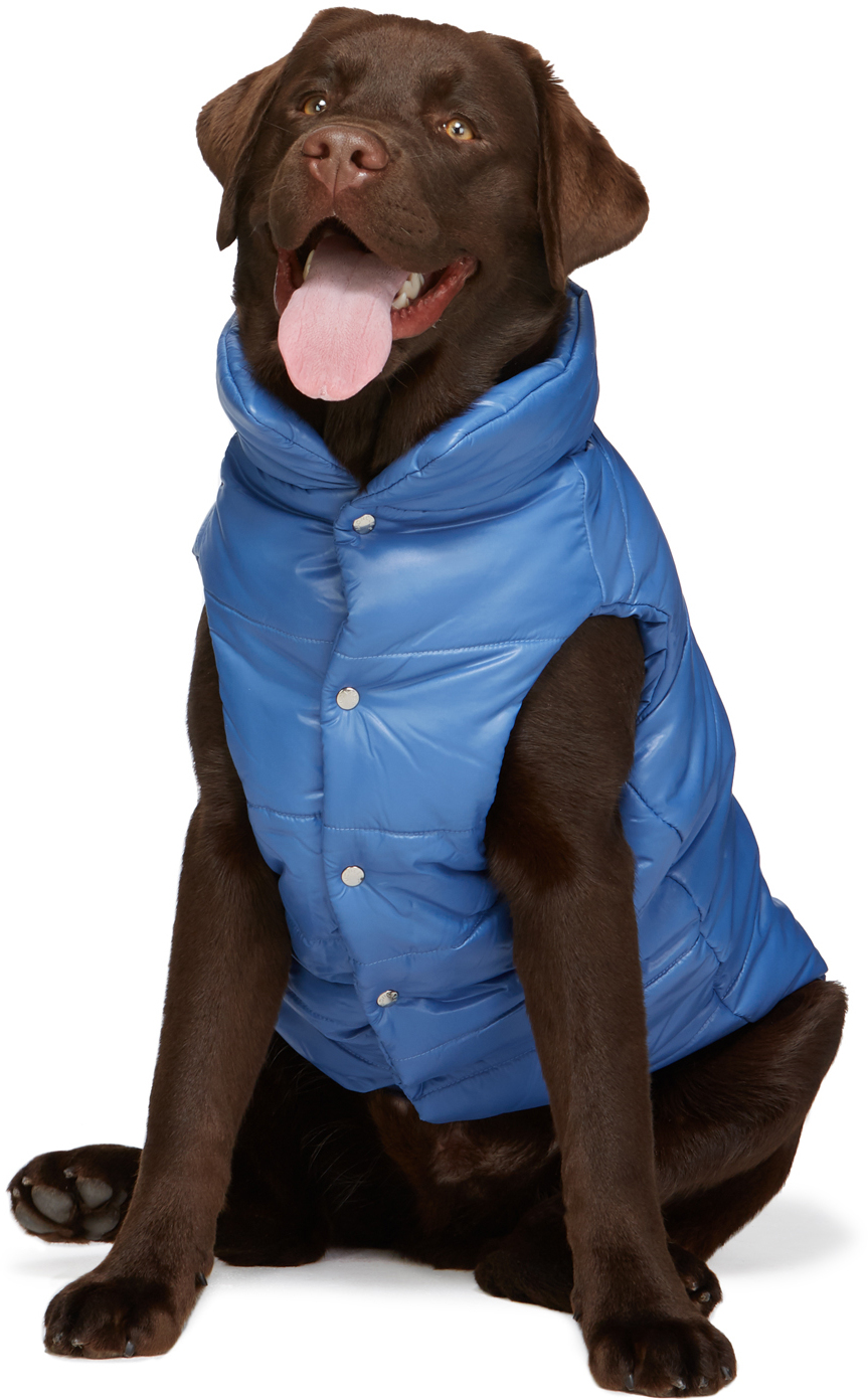 moncler-genius-blue-poldo-dog-couture-edition-insulated-jacket