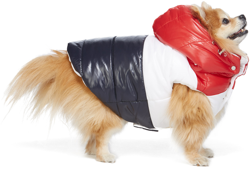 moncler-genius-multicolor-poldo-dog-couture-edition-striped-jacket