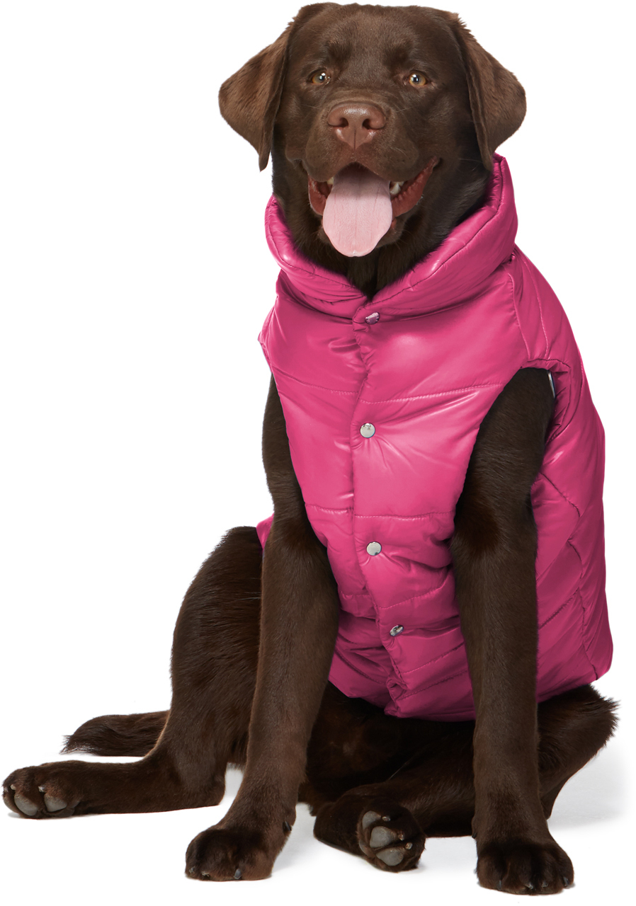 moncler-genius-pink-poldo-dog-couture-edition-insulated-jacket