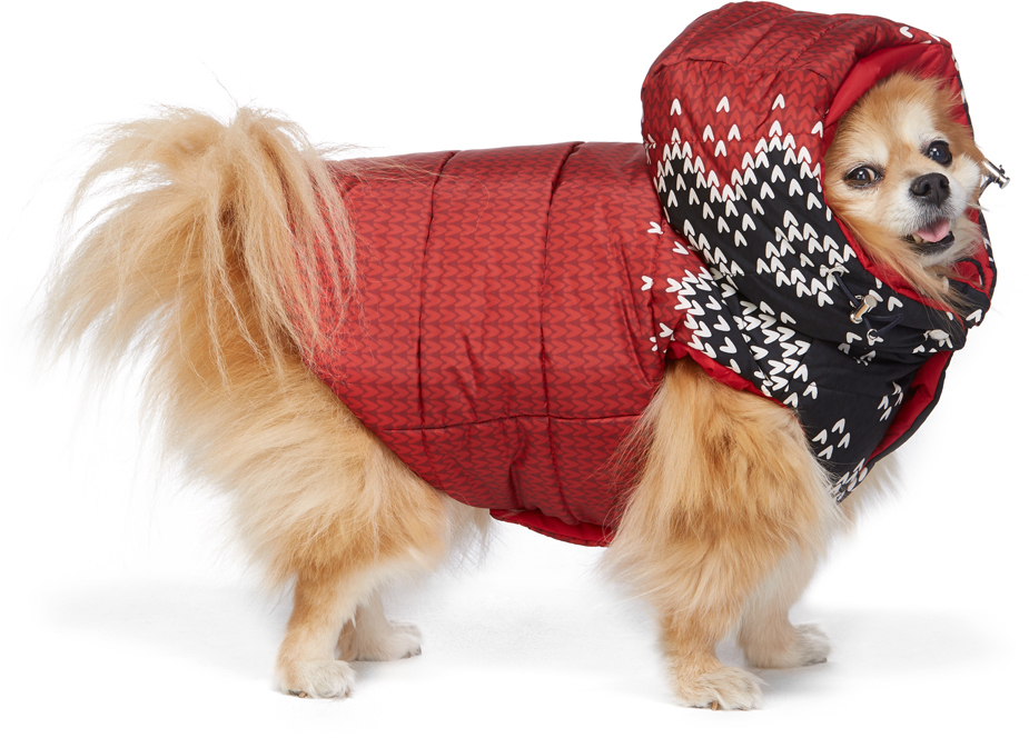 moncler-genius-reversible-red-poldo-dog-couture-edition-sweater-knit-jacket