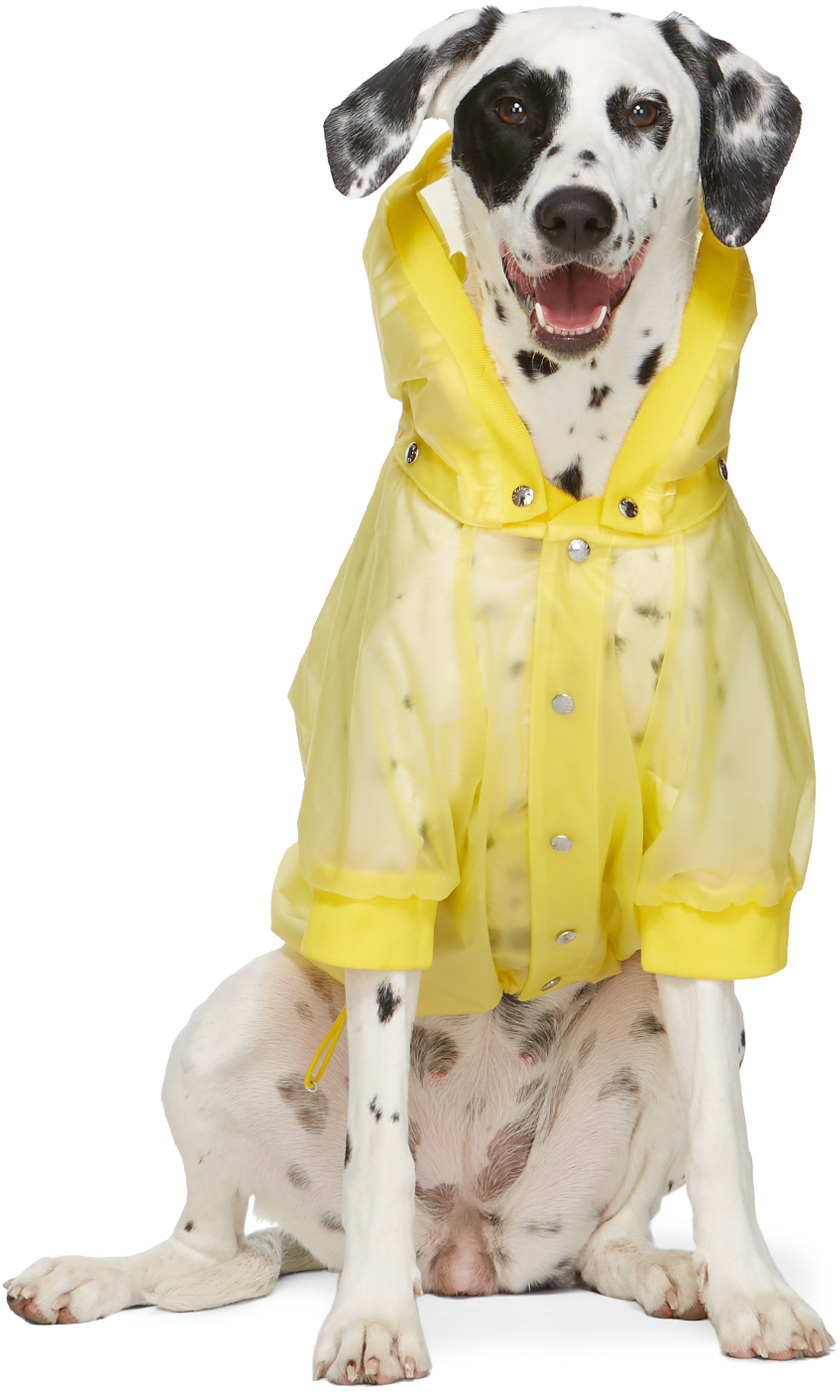 moncler-genius-yellow-poldo-dog-couture-edition-waterproof-coat