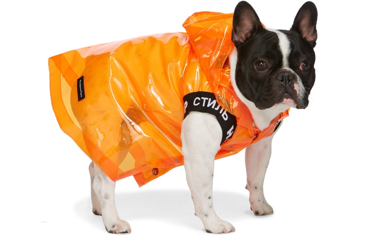 msbhv-ssense-dog-raincoat
