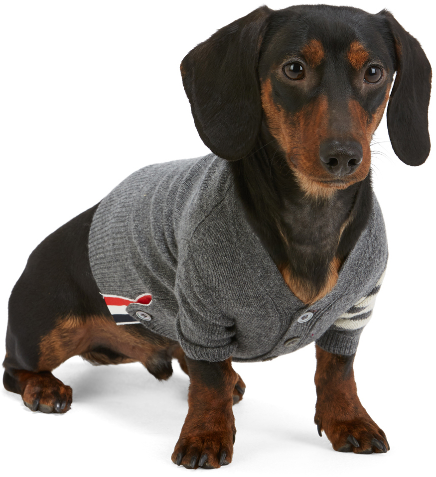 thom-browne-grey-cashmere-4-bar-dog-cardigan