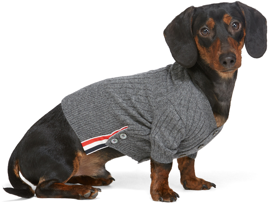 thom-browne-grey-cashmere-4-bar-rib-knit-dog-cardigan