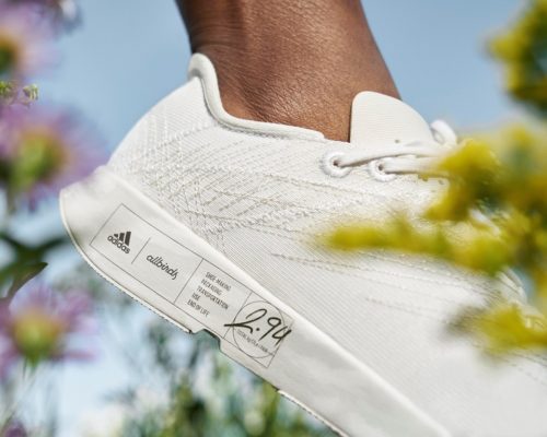 Adidas And Allbirds Reveal Low Carbon Futurecraft Footprint Shoe | SNOBETTE