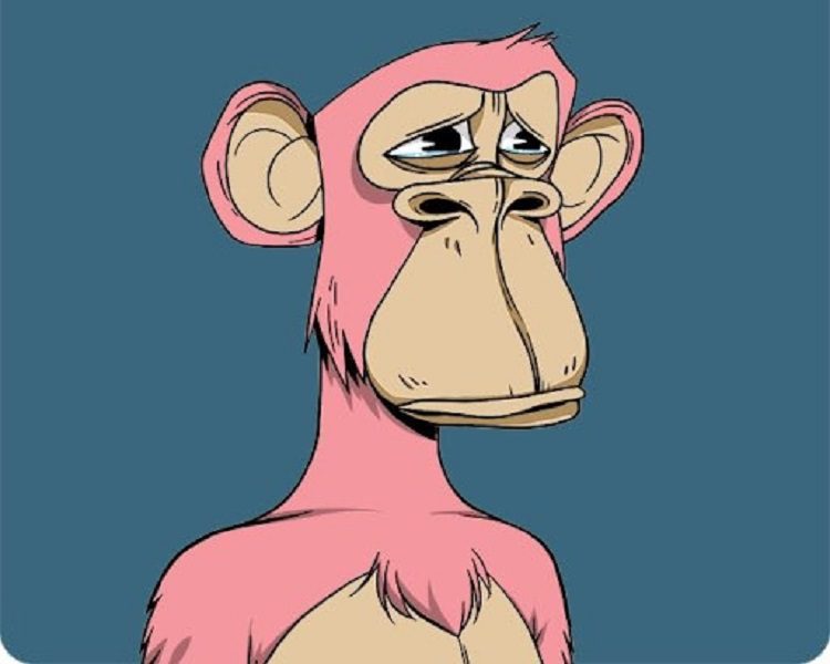 serena-williams-bayc-pink-ape
