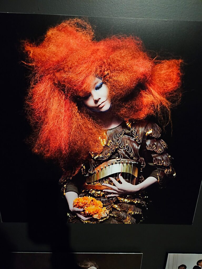 Iris van Herpen Brooklyn Museum 1