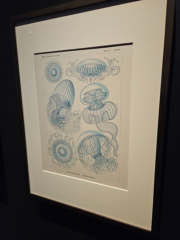 Iris van Herpen Brooklyn Museum 14